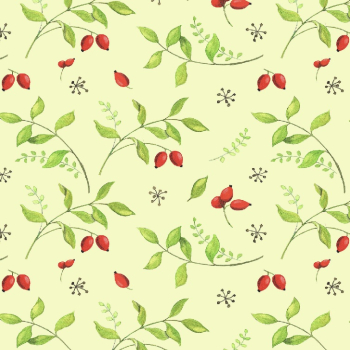 Rosehip Garden