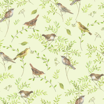 Secret in Willow