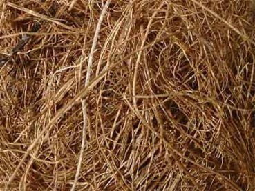 Coconut fibre
