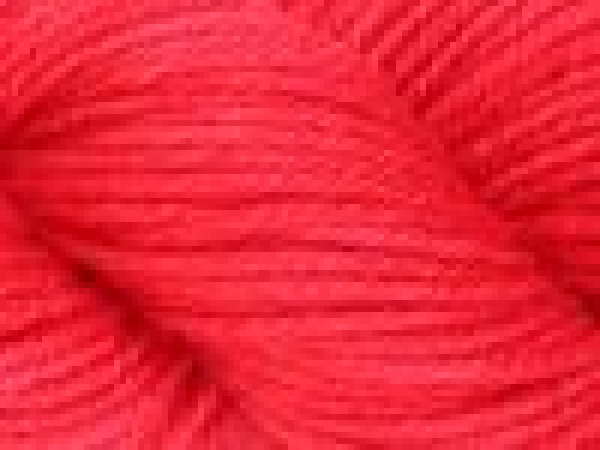 Bild1