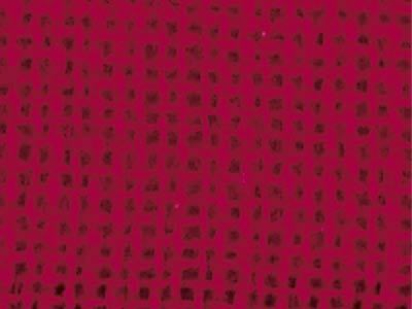 Etamine de laine - red