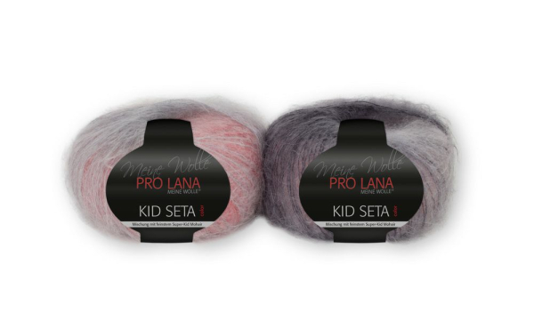 Kid Seta Color von Pro Lana