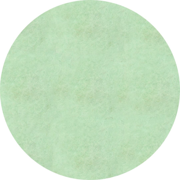 wool felt patches- mint