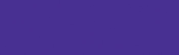 Jacquard Acid Dye - Violet 614 - 14 g