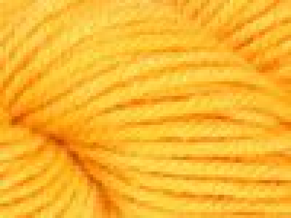 Bild1