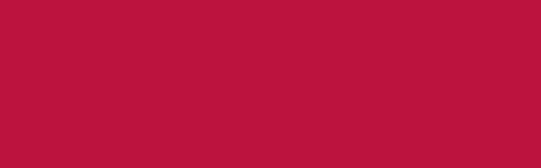 Jacquard Acid Dye - burgundy 610 - 14 g