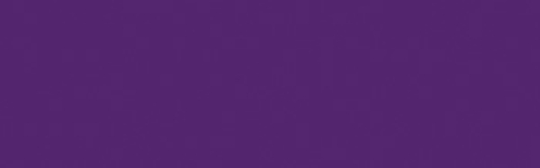 Jacquard Acid Dye - Purple  613 - 227g