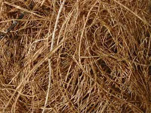 Coconut fibre