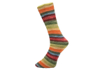 Ferner Lungauer Socken Wolle - Regenbogen