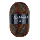 Trekking XXL - Farbe 834